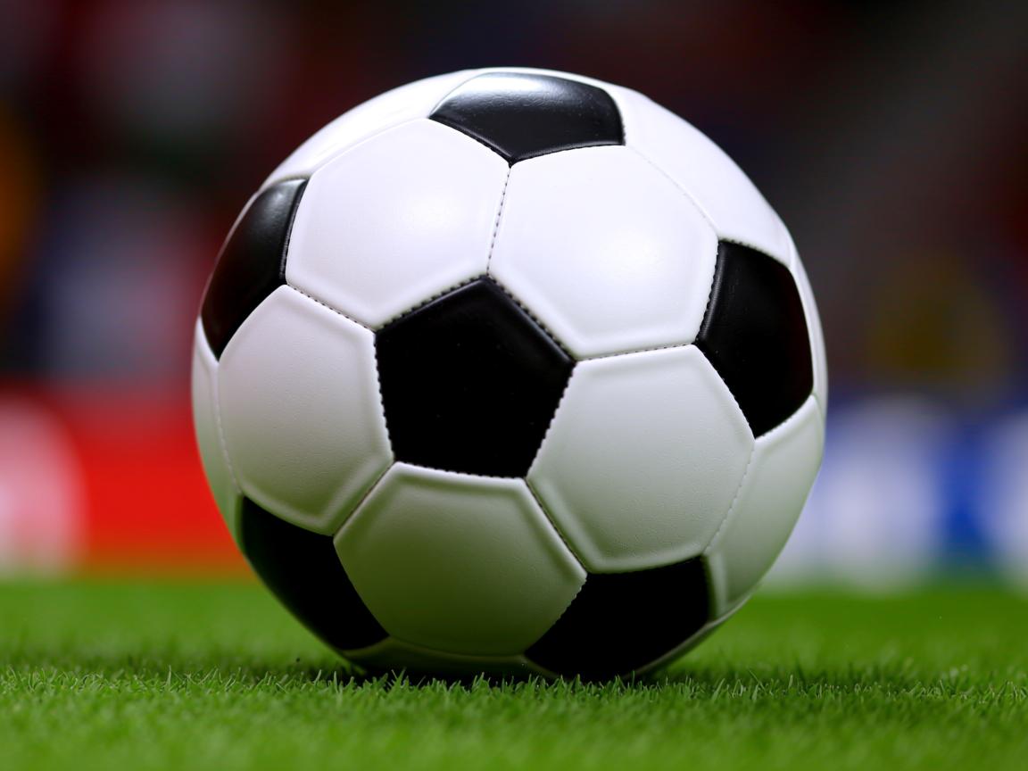 kaiyun开云体育-Cole Palmer获赛季最佳新星奖，备受期待