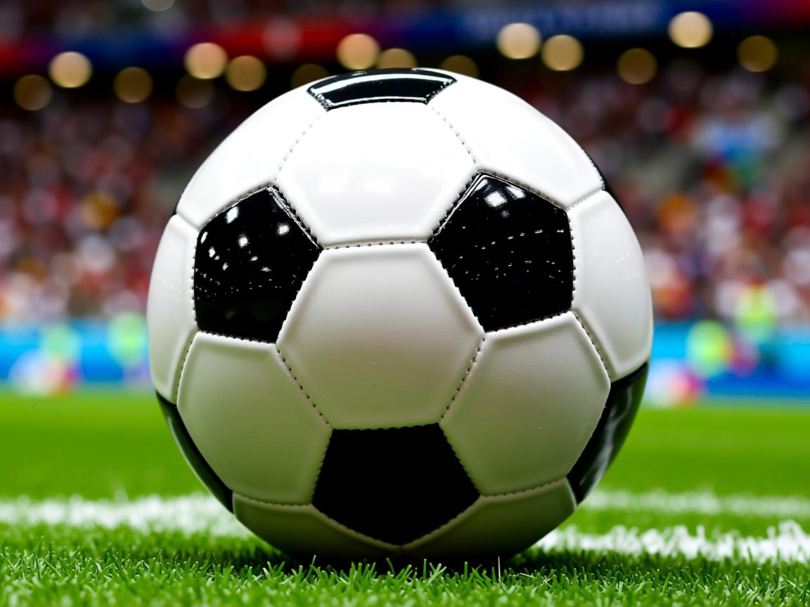 开云体育在线官网-加拿大乒乓队未来计划：如何通过综合训练提升全员竞技水平，加拿大乒乓球队员名单